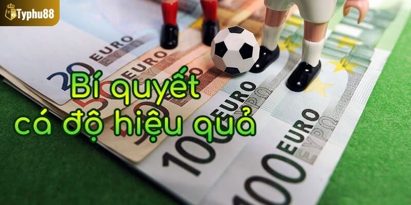 Kinh nghiệm soi kèo bóng cỏ là gì? - Soi kèo có chọn lọc